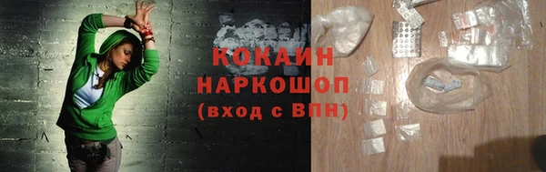 шишки Беломорск