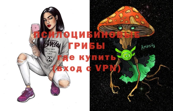 дурь Белокуриха