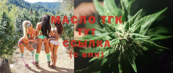 шишки Беломорск
