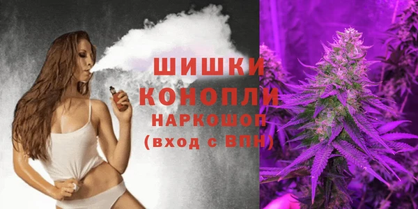 дурь Белокуриха