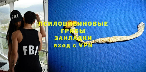 дурь Белокуриха