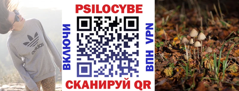 Псилоцибиновые грибы Magic Shrooms  маркетплейс телеграм  Горняк 